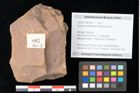 Foto (Objekt + Etikett) von Quercus palaeoilex Ettingshausen (NHMW-GEO-2024-0188-0807)